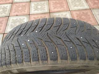  1  kumho 1856515 