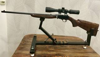    Browning Semi Auto,  .22LR 