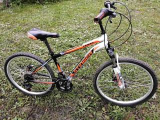 Stinger Caiman 24