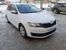������ Skoda Rapid  �����