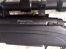��������� ������� Remington 770 ������ 243 �����