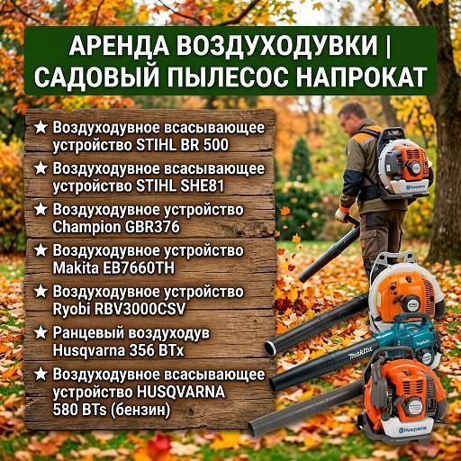 Аренда воздуходувки в Пензе | Садовый пылесос напрокат