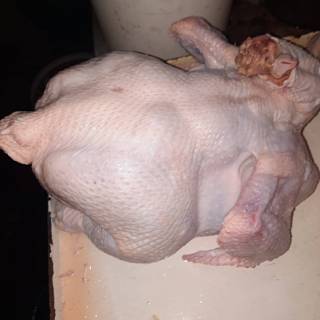 ������ ���� ������������ ��������