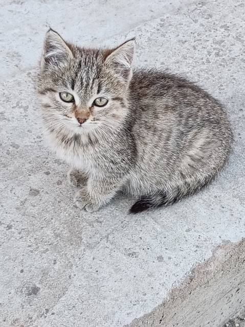 ������� � ������ ����