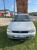 ������ ������ 2008 ��� ����� �����