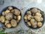 ������ ������ ������� ���������, ���������� � ����� �� ������ ������� ��� ����� �����
